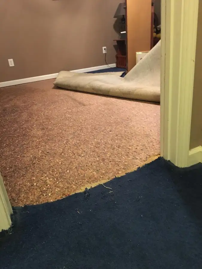 Carpet pad removal revealing water damage during Drying & Dehumidification in Perkasie